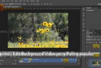 Aplikasi Edit Background Video yang Paling populer