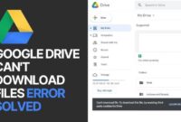 3 Effective Ways to Solve Google Drive File Download Issues