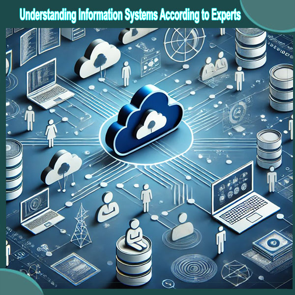 Understanding Information Systems According to Experts